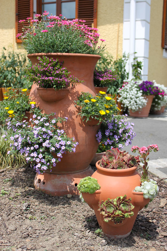 vasi di terracotta in giardino