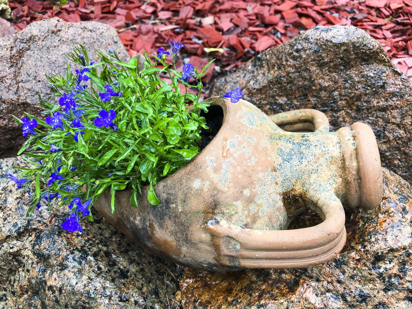 vasi di terracotta in giardino