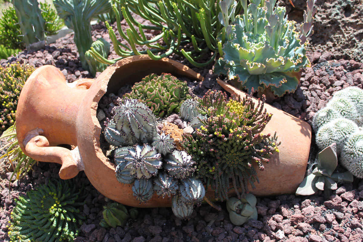 vasi di terracotta in giardino