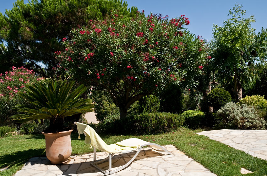 giardino stile provenzale