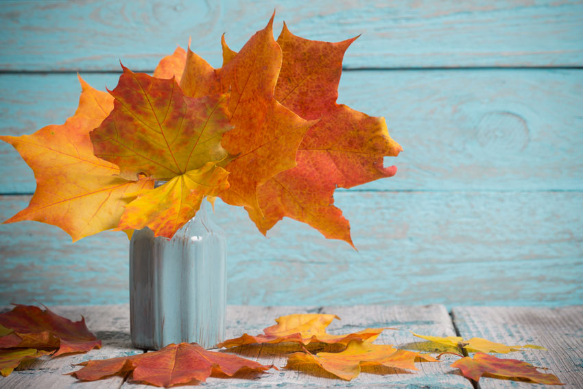 decorare il balcone in autunno