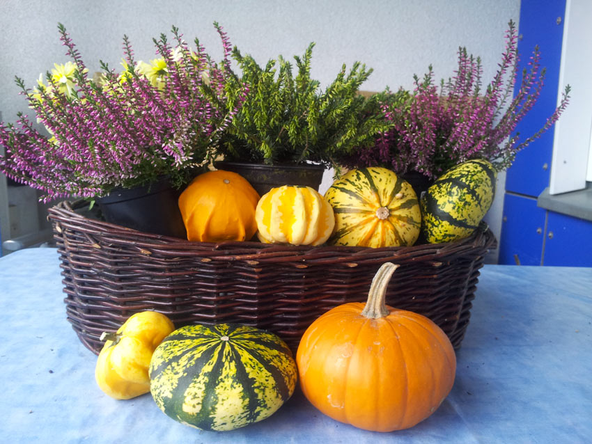 decorare il balcone in autunno