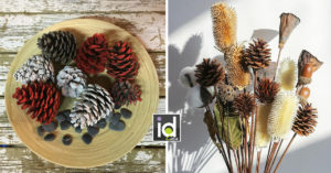 Recuperare le pigne per creare bellissimi ornamenti per la casa! 13 idee Recuperare le pigne per creare bellissimi ornamenti per la casa