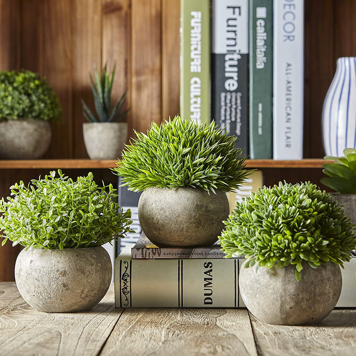 piante grasse finte la casa o i bonsai per decorare il salotto il giardino Taglia libera A l’ufficio Pianta artificiale ecologica