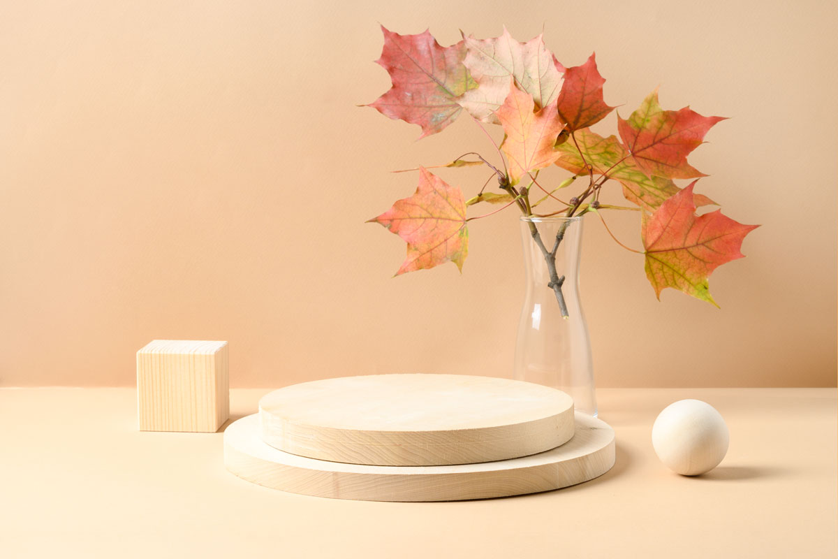 alberello d'autunno bello e originale