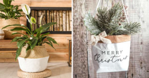 16 idee creative per un cachepot originale e fai da te cachepot originale e fai da te
