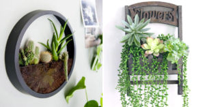 Come decorare le pareti di casa con le piantine grasse: 11 idee originali decorare le pareti di casa con le piantine grasse