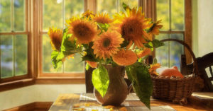 girasole-in-vaso