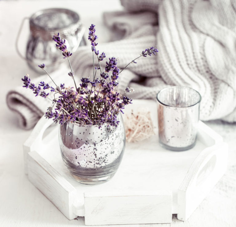 Pianta di lavanda in vaso coltivazione e idee per un tocco glamour in casa