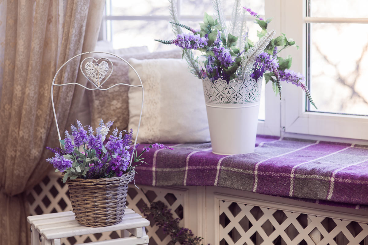 Pianta di lavanda in vaso