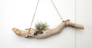 Ripiani creativi con legno di mare: 8 bellissime idee fai da te Ripiani creativi con legno di mare