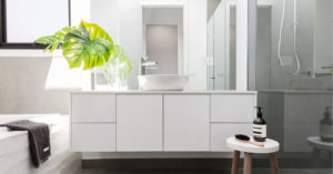 Le piante per il bagno che assorbono l'umidità: ecco 10 varietà umidità