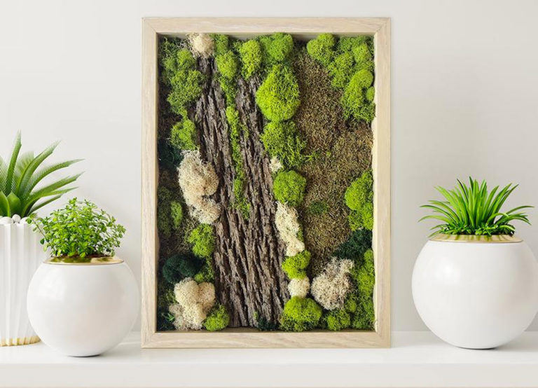 Decorsazione Con Muschio Dentro Casa Un quadro di muschio: una soffice decorazione green per le pareti di