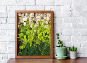 Quadro Di Muschio E Licheni Stabilizzati Vero 30x40 Cm | Decorazione Da Parete Naturale Con Cornice In Legno | Per Casa E Ufficio, Manutenzione Zero