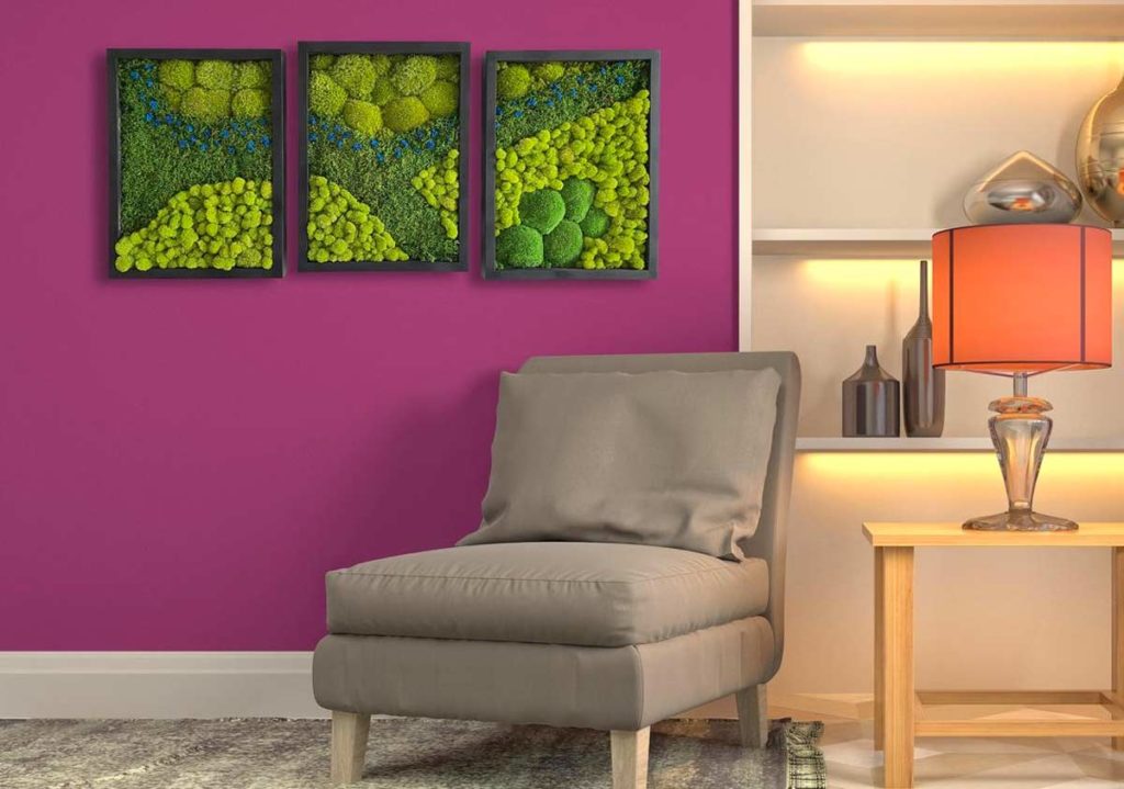 Decorsazione Con Muschio Dentro Casa Un quadro di muschio: una soffice decorazione green per le pareti di
