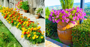 10 fioriere particolari per abbellire il giardino: lasciatevi ispirare giardino fioriere particolari