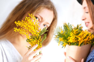 perche-si-regala-mimosa-alla-festa-della-donna-2