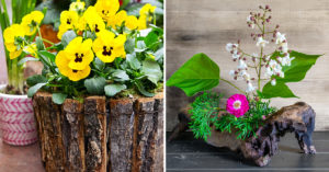 Decorazioni primaverili con elementi naturali: 7 idee bellissime fai da te Decorazioni primaverili con elementi naturali.