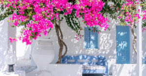 Una buganvillea per abbellire l'ingresso: 8 splendide ispirazioni per la casa buganvillea per abbellire l'ingresso