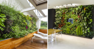 Un giardino verticale firmato SUNDAR ITALIA: le più belle idee per una parete verde di design giardino verticale