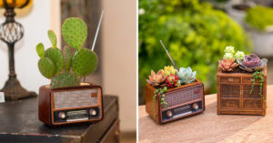 Decorazioni sfiziose con le piantine grasse: 8 idee creative per ispirarsi Decorazioni sfiziose con le piantine grasse.