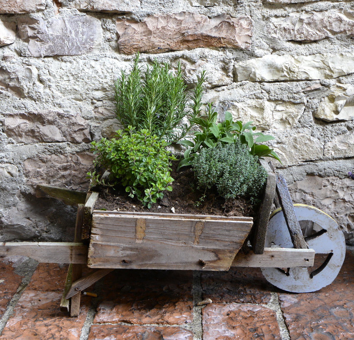 Piantine aromatiche in una piccola carriola di legno.