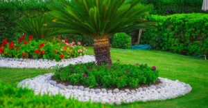 Piante e sassi per un aiuola da favola: 8 ispirazioni per decorare il giardino fai da te Piante e sassi per un aiuola da favola.