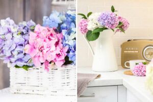 10 ispirazioni per decorare con un bel vaso di ortensie: un dolce tocco di colore in casa Decorare con vaso di ortensie.