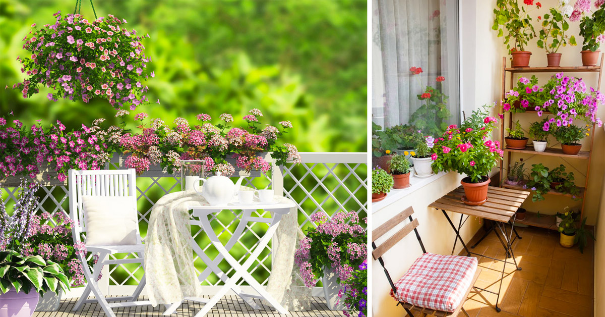 Piccolo giardino fiorito sul balcone.