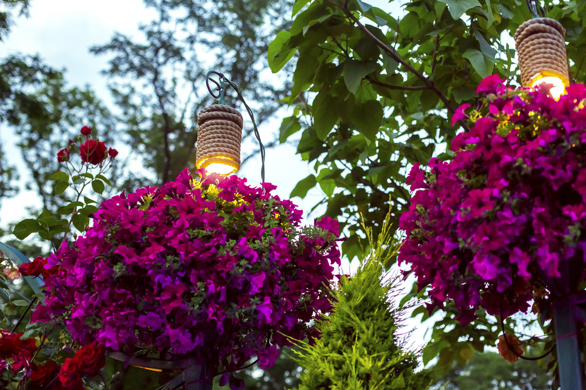 Come illuminare le piante in giardino.