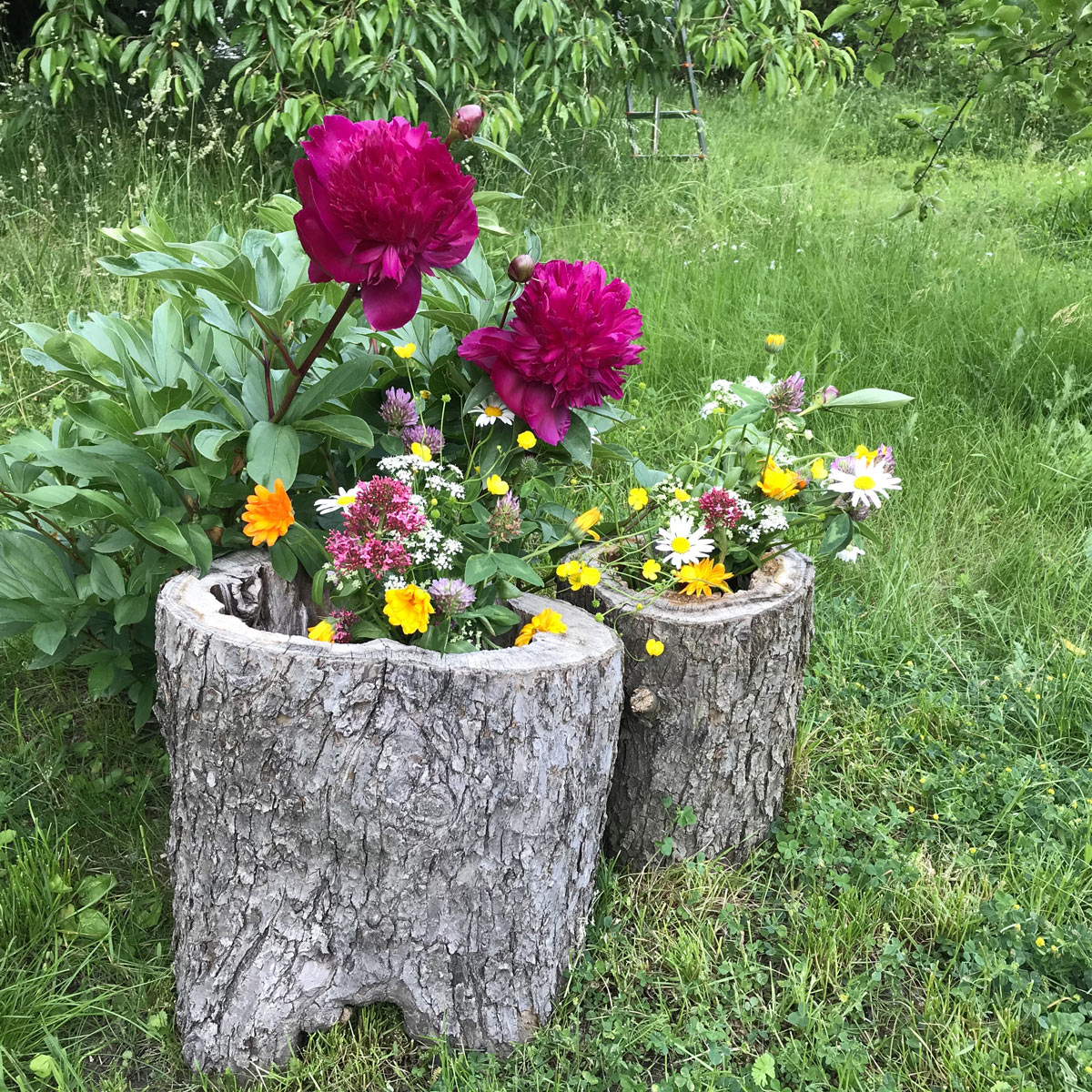 vaso di fiori creativo in giardino