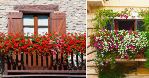 7 idee irresistibili per decorare la ringhiera del balcone Come decorare la ringhiera del balcone in modo originale con fiori e piante