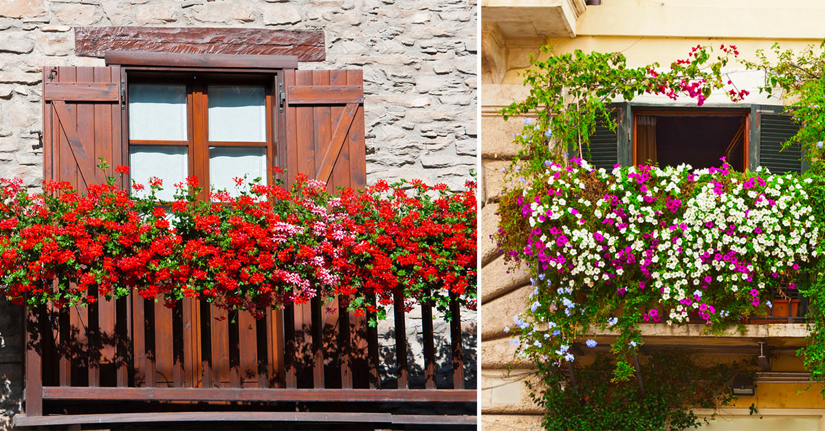 Come decorare la ringhiera del balcone in modo originale con fiori e piante