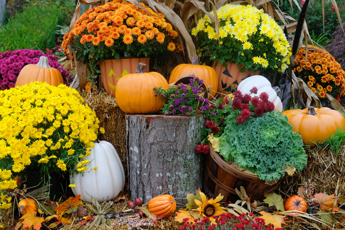 simpatiche idee per decorare il giardino in autunno