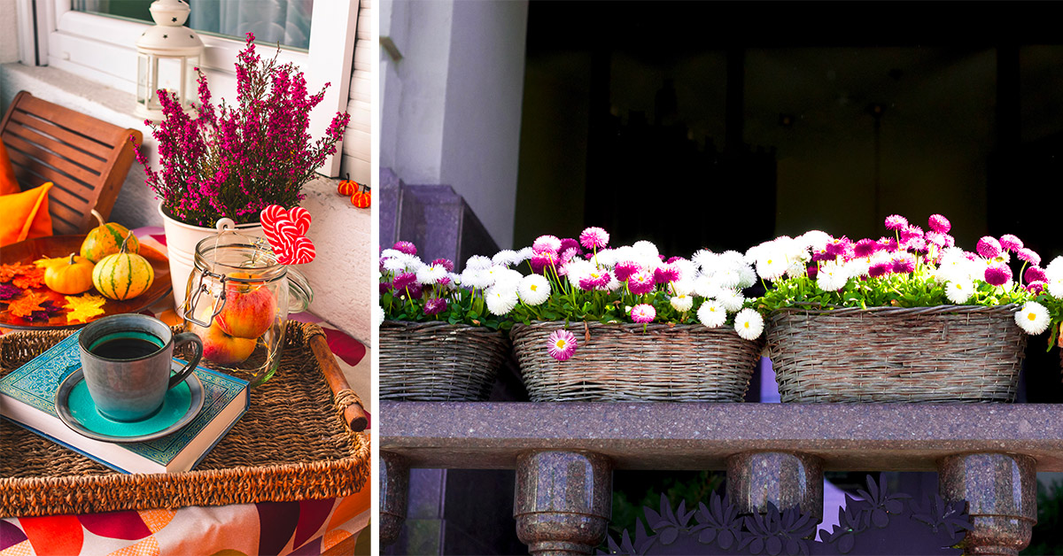 Fiori per avere un balcone fioritissimo anche in autunno