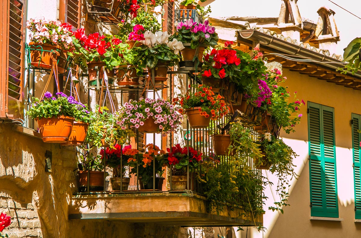 fiori balcone in vaso per l'autunno