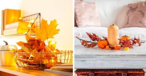 Recuperare le foglie secche per realizzare una bella composizione autunnale: ispiratevi composizione autunnale con le foglie secche
