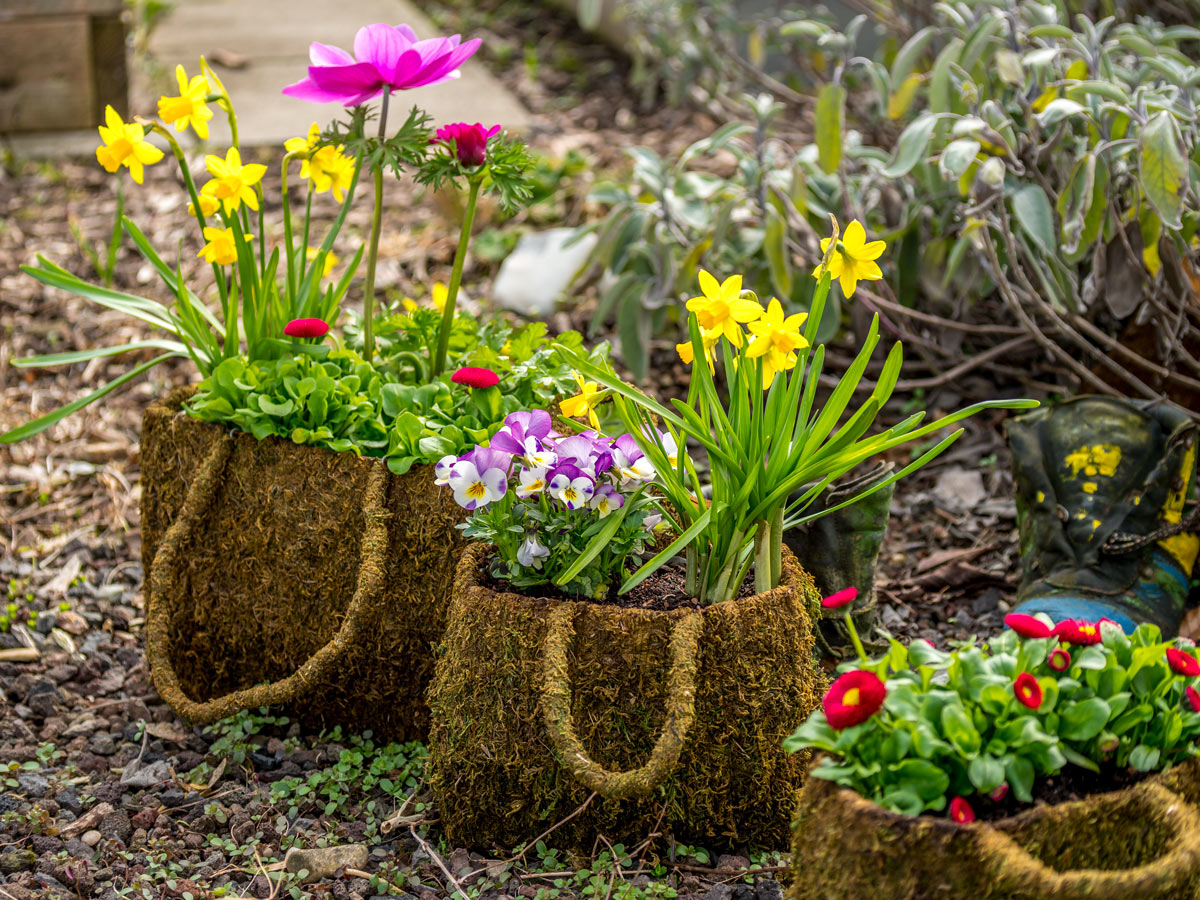 Decorare creativamente il giardino per la primavera con il riciclo