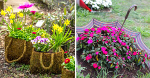 Decorare creativamente il giardino per la primavera con il riciclo: ispiratevi Decorare il giardino per la primavera con riciclo creativo.