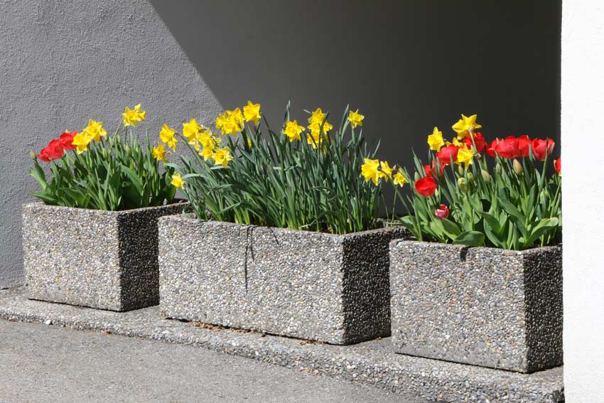 Colorare di giallo il balcone con i narcisi.