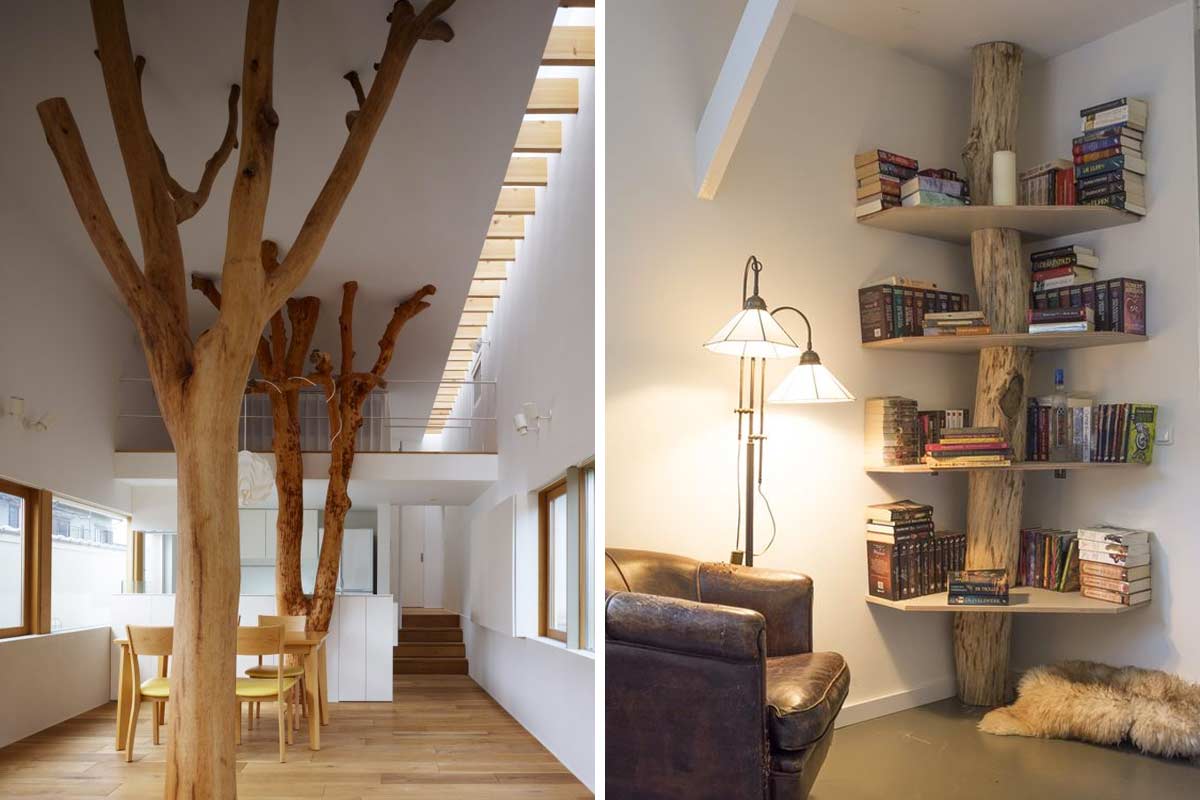 Alberi e tronchi per decorare casa