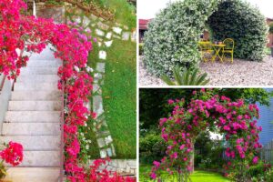 arco-da-giardino-fiorito-primavera