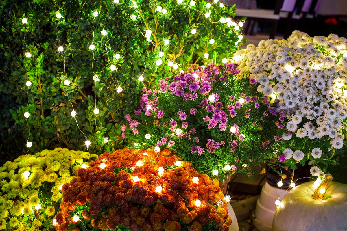 Illuminare vasi di fiori in giardino.