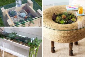 I tavolini super creativi decorati con le piantine grasse: 9 belle idee per ispirarsi tavolini super creativi decorati con le piantine grasse