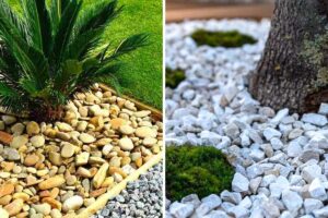 Abbellire il giardino con la ghiaia e sassi: ispirazioni incantevoli tutte da scoprire abbellire il giardino con la ghiaia e sassi
