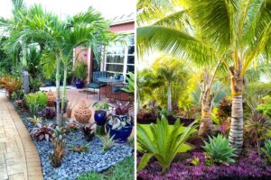 Abbellire il giardino con le palme: 10 bellissime ispirazioni per un tocco tropicale idee per abbellire il giardino con le palme