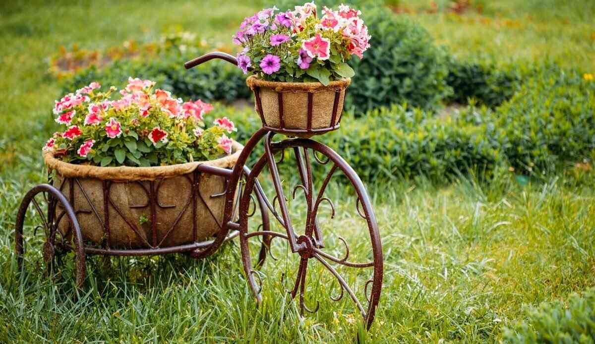 idee particolari per un giardino originale e creativo