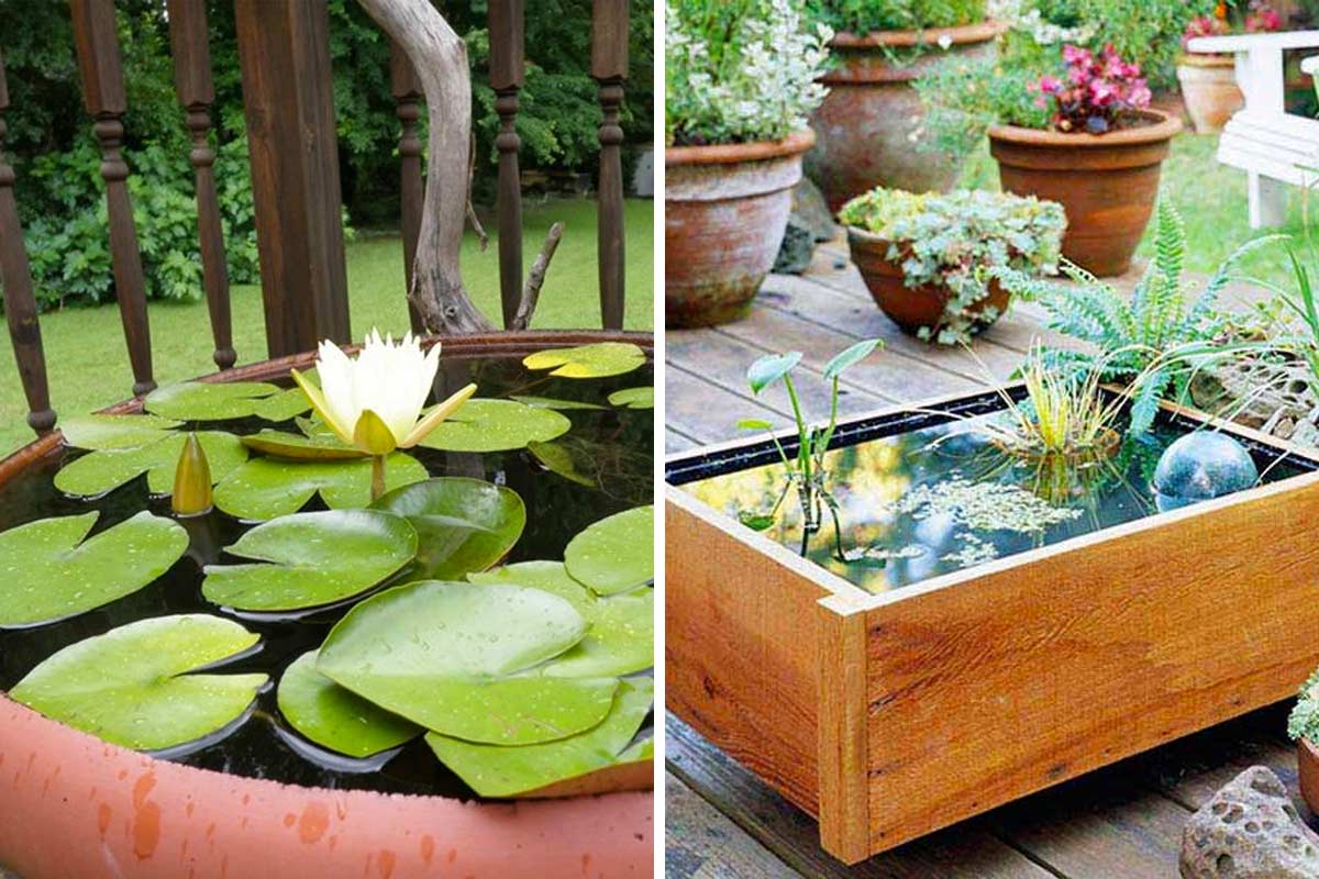 Creare un piccolo laghetto in vaso per decorare l'esterno.