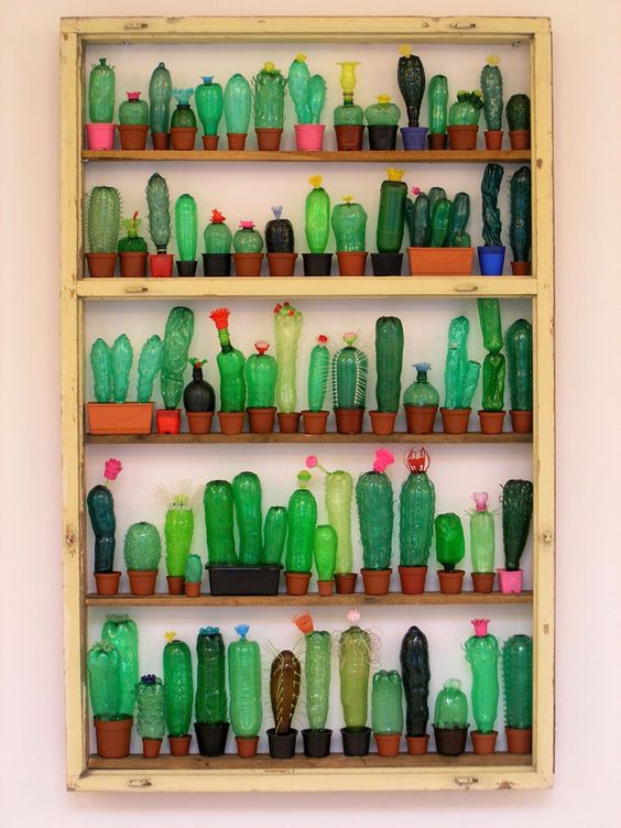 Cactus con bottiglie di plastica.