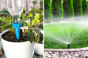Come dare acqua alle piante quando si va in vacanza? Ecco 5 modi efficaci Come dare acqua alle piante quando si va in vacanza.